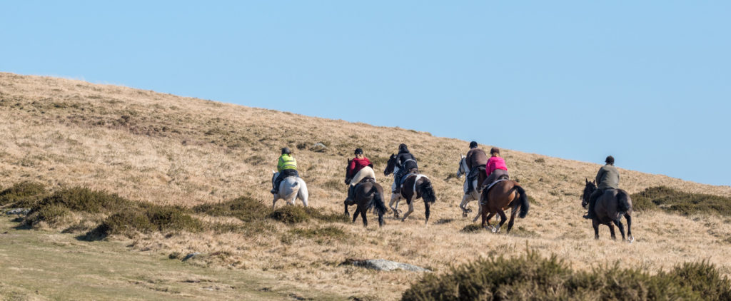 Dartmoor horse riding holidays